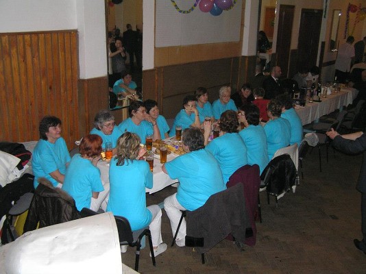 Hasičský ples - Těchonín (16. 2. 2013) 28