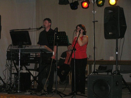 Hasičský ples SDH Těchonín (15. 2. 2014)29
