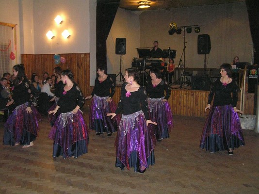Hasičský ples SDH Těchonín (15. 2. 2014)40