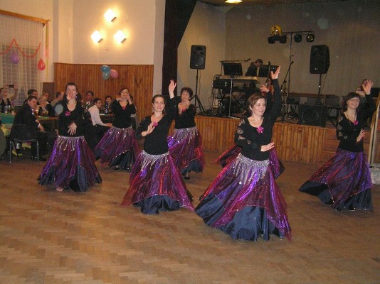 Hasičský ples SDH Těchonín (15. 2. 2014)43