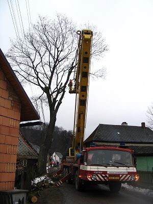 Kácení javoru mezi Budišovými a Urbanovými 7. 3. 2009 2