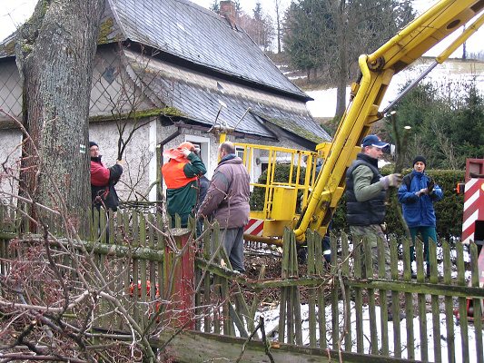 Kácení javoru mezi Budišovými a Urbanovými 7. 3. 2009 4