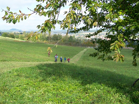 Závody mladých hasičů - 13. 10. 2012 12