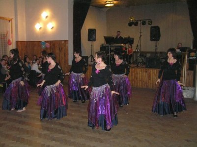 Hasičský ples SDH Těchonín (15. 2. 2014)40