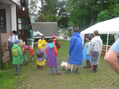 pochod 24.5.2014 06