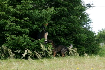 dětský den 13.6.2014