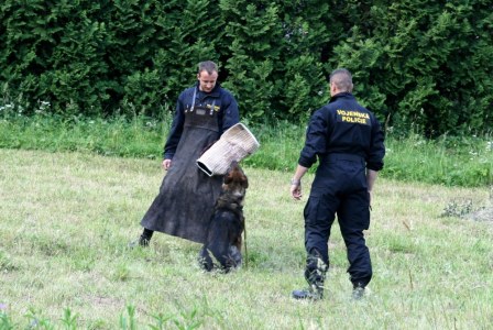 dětský den 13.6.2014