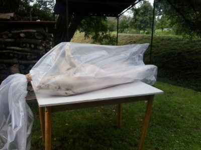 30.8.2014 grilování