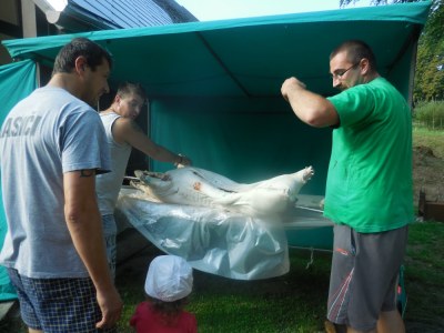 2015.08.29. Loučení s prázdninami