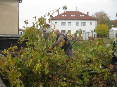 Brigáda (15. 10. 2013)2