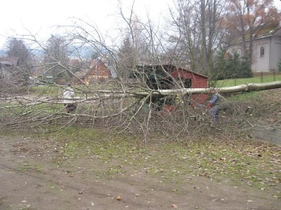 Brigáda (2. 11. 2013)1