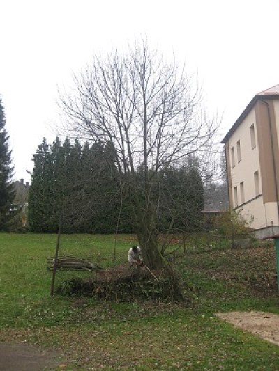 Brigáda (2. 11. 2013)16